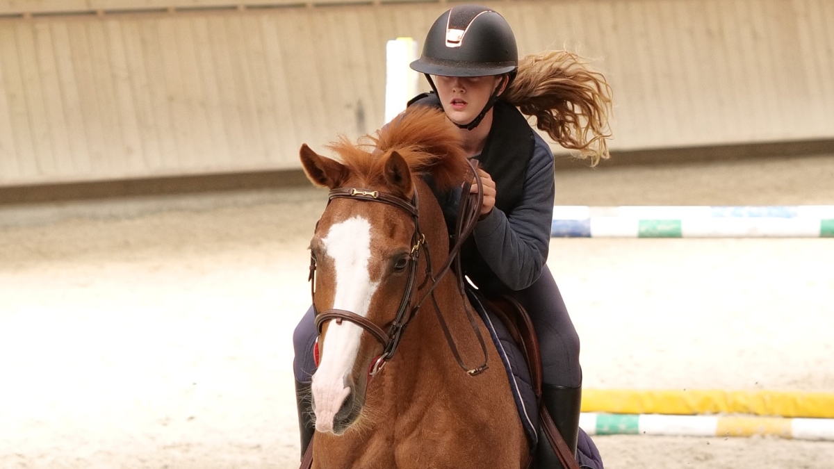 Au Galop France 4 Saison 2 TOURNAGE - Au galop saison 2 et Une saison au zoo saison 14