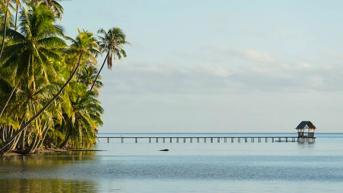 Polynesie_Lile_de_Tahaa Polynesie_Lile_de_Tahaa