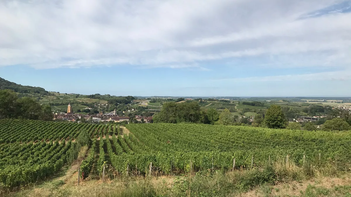 TALE Arbois vue TALE Arbois vue
