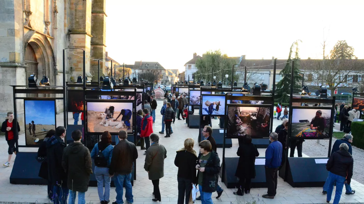 Festival international de Photo animalière et de nature