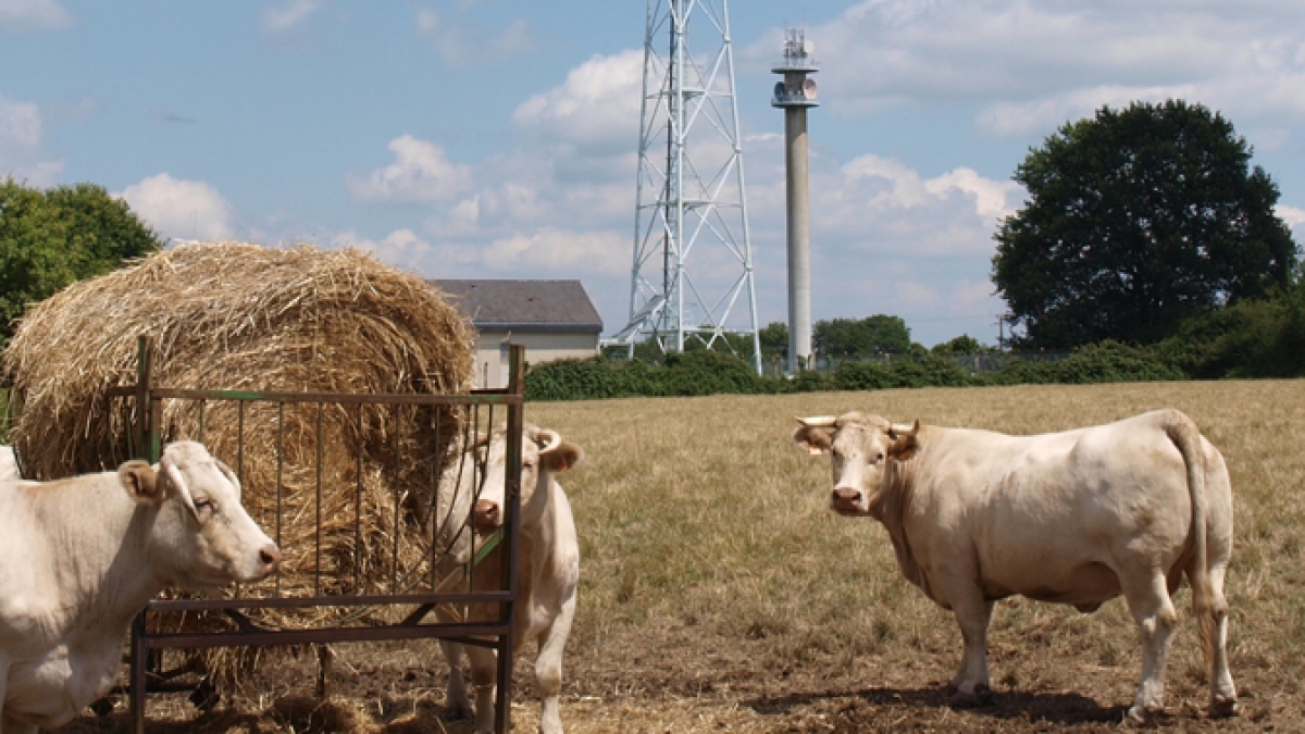 © Avenir Agricole.jpeg © Avenir Agricole.jpeg