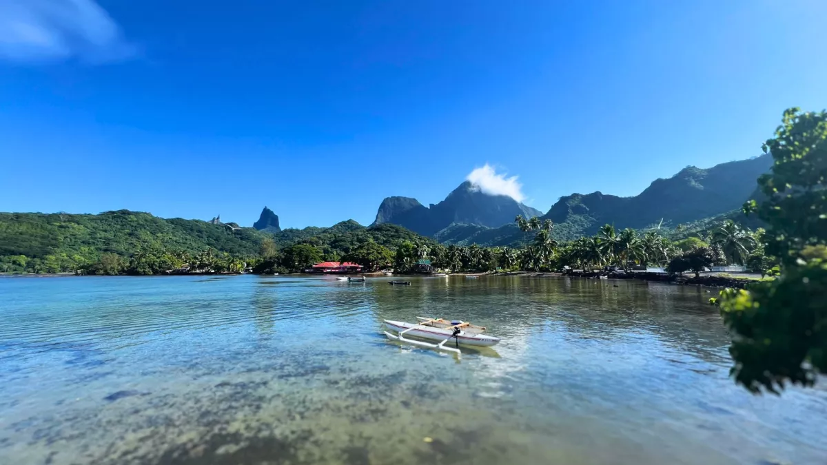 manatumu moorea