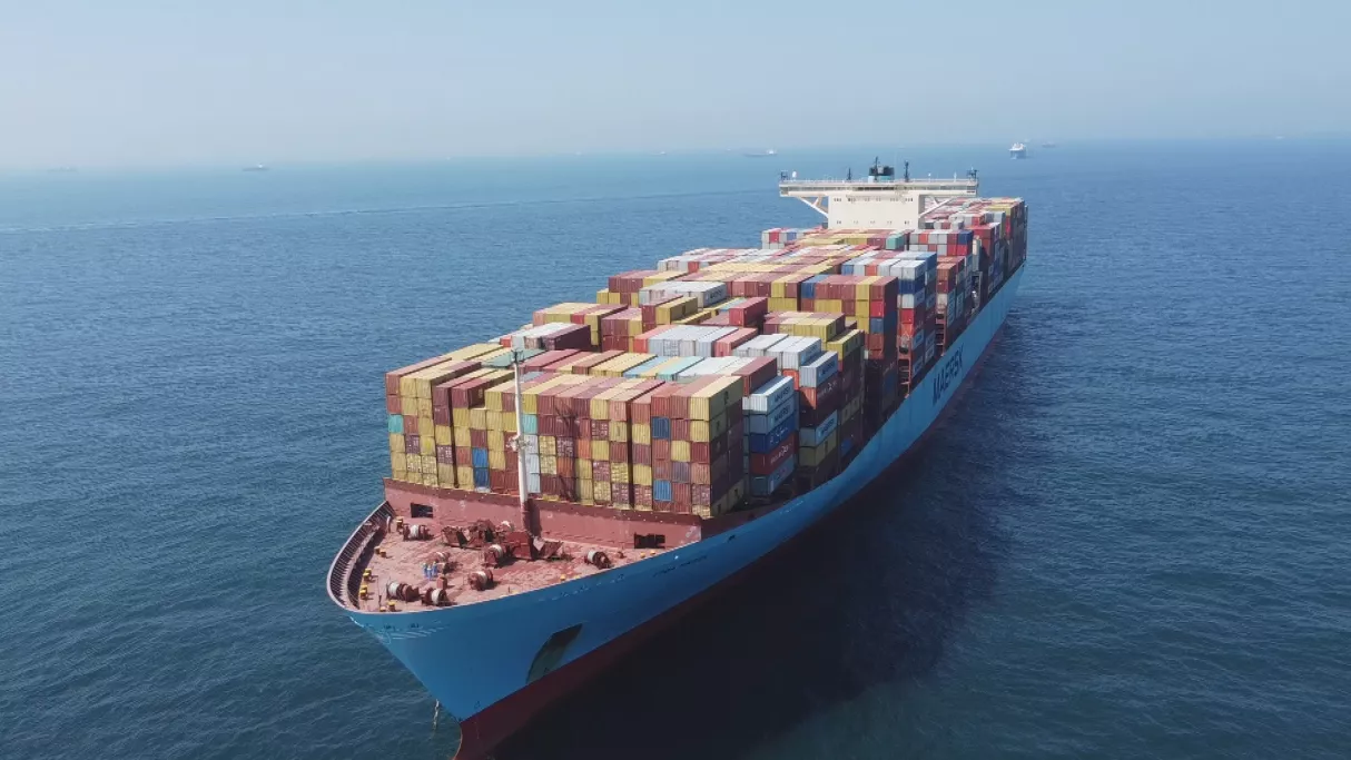 Cargos, dans les soutes de la mondialisation