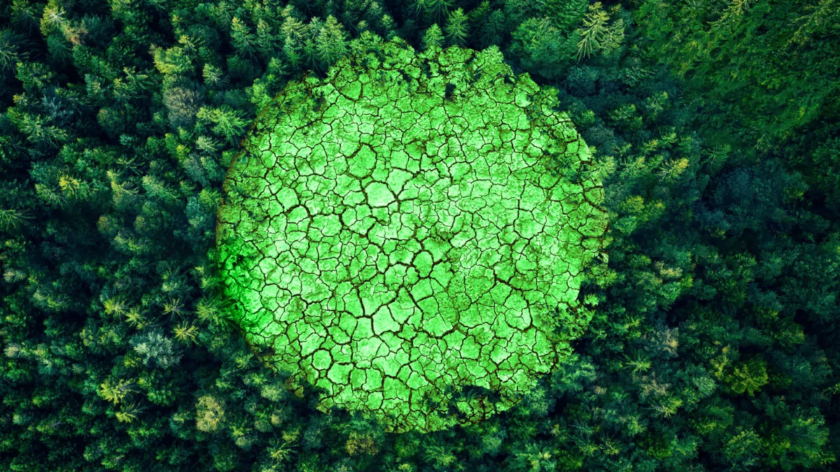 header DP environnement