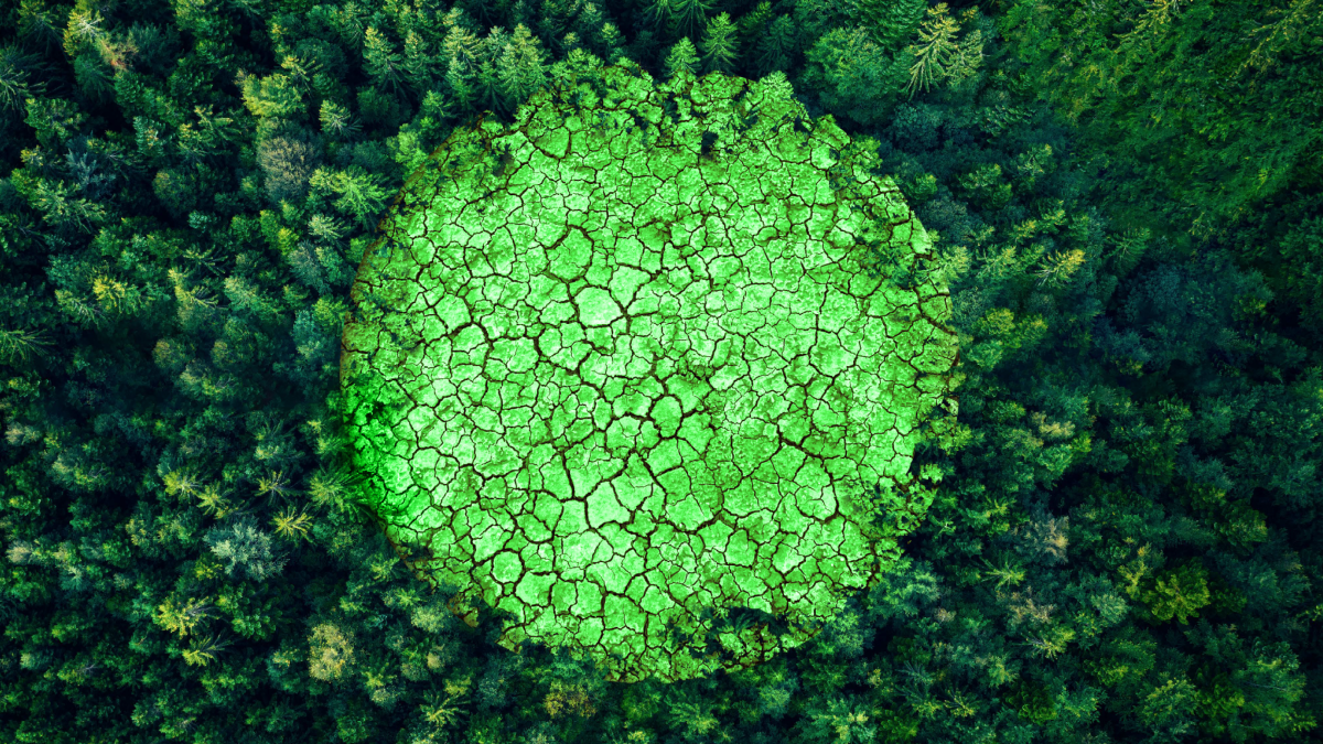 header DP environnement