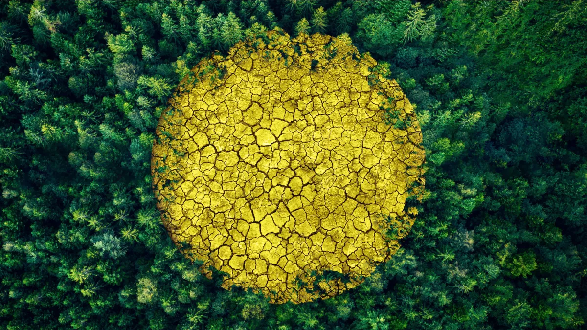header DP environnement