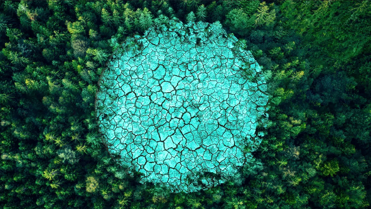 header DP environnement