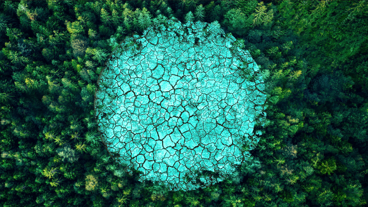 header DP environnement