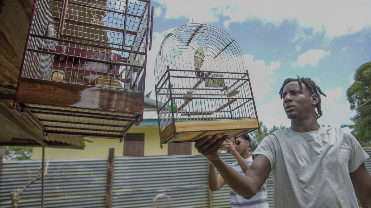 L’oiseau qui chante à l’oreille des hommes ©Paramonti Productions