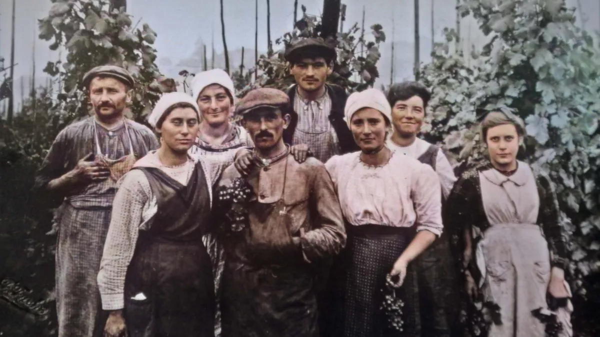 "l'épopée des vignerons"
