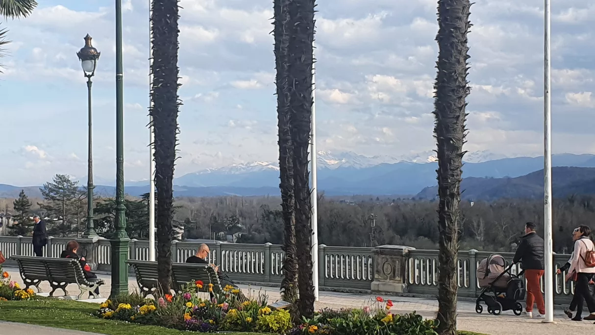 Bis le magazine de la curiosité à Pau