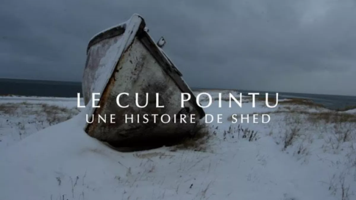 © droits réservés affiche film Le Cul Pointu