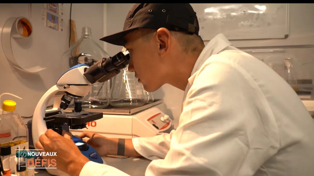 Les Nouveaux Défis, votre rendez-vous avec l’économie de l'île sur Réunion la 1ère : Best of 2025