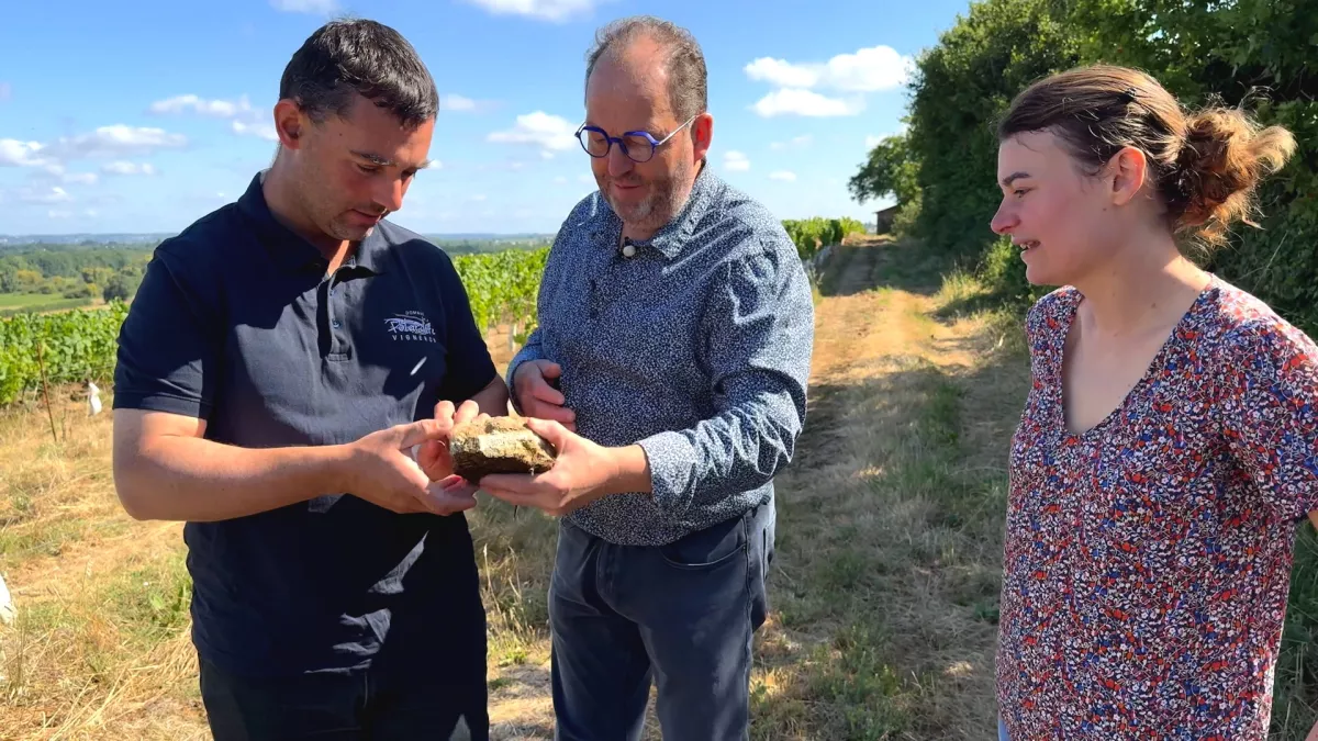 Sylvain dans le vignoble au Loroux-Bottereau