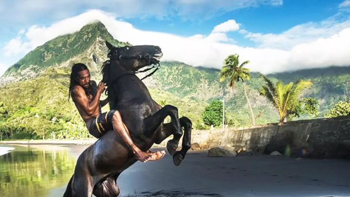 UA HUKA : L'ÎLE AUX CHEVAUX 52'