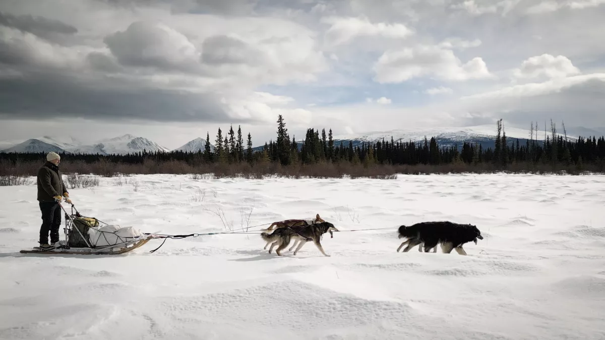 AU BOUT C'EST LA MER YUKON