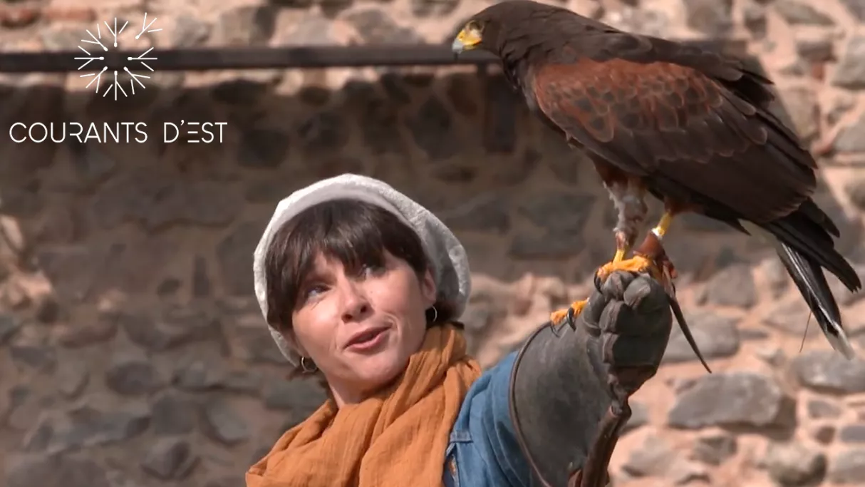 Courants d'Est - Ils sont forts ces châteaux - SOURCE FTV 