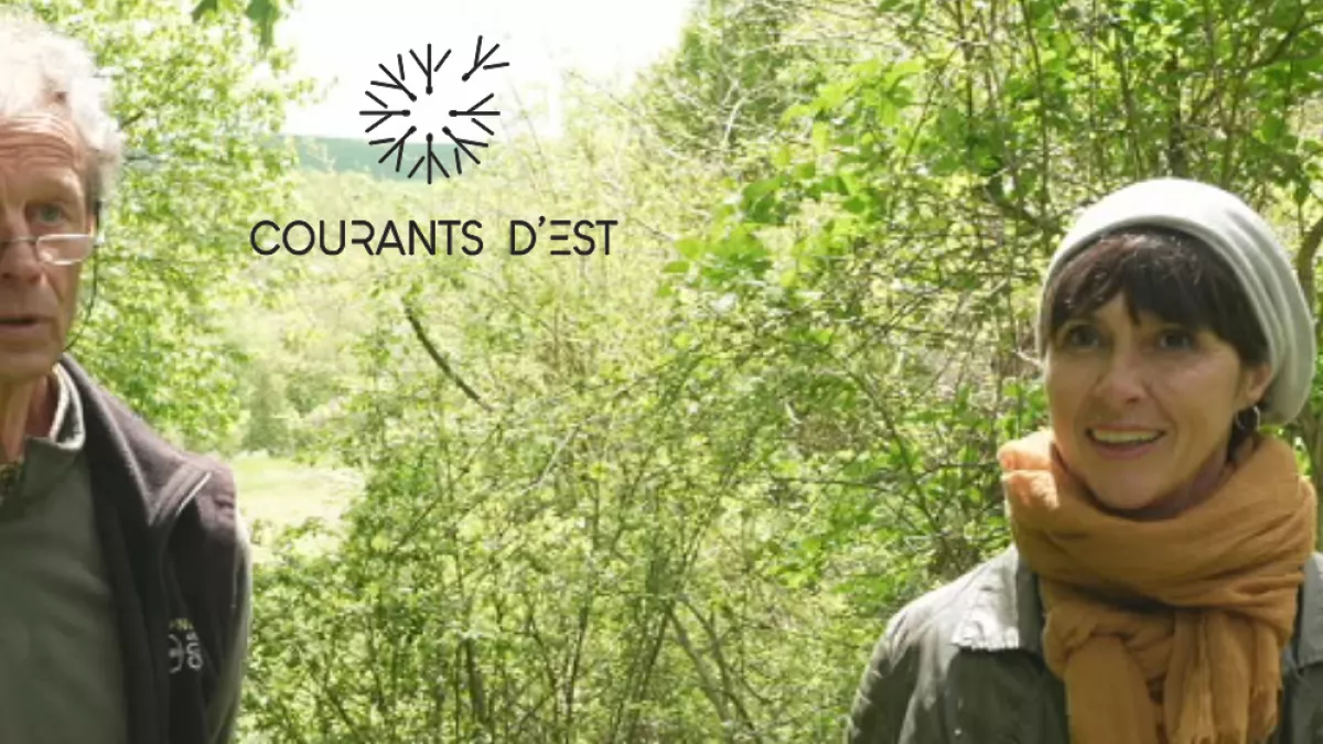 Courants d'Est 19 - crédit FTV Courants d'Est 19 - crédit FTV