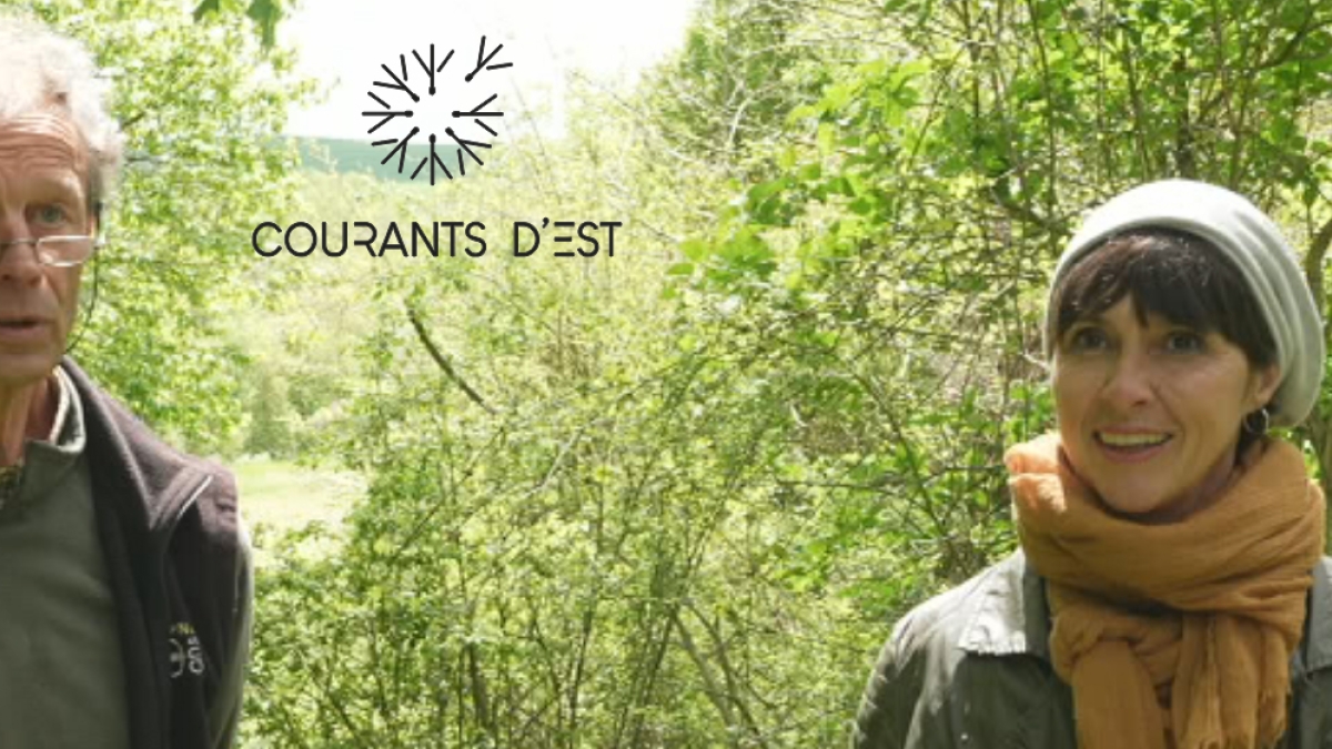 Courants d'Est 19 - crédit FTV Courants d'Est 19 - crédit FTV