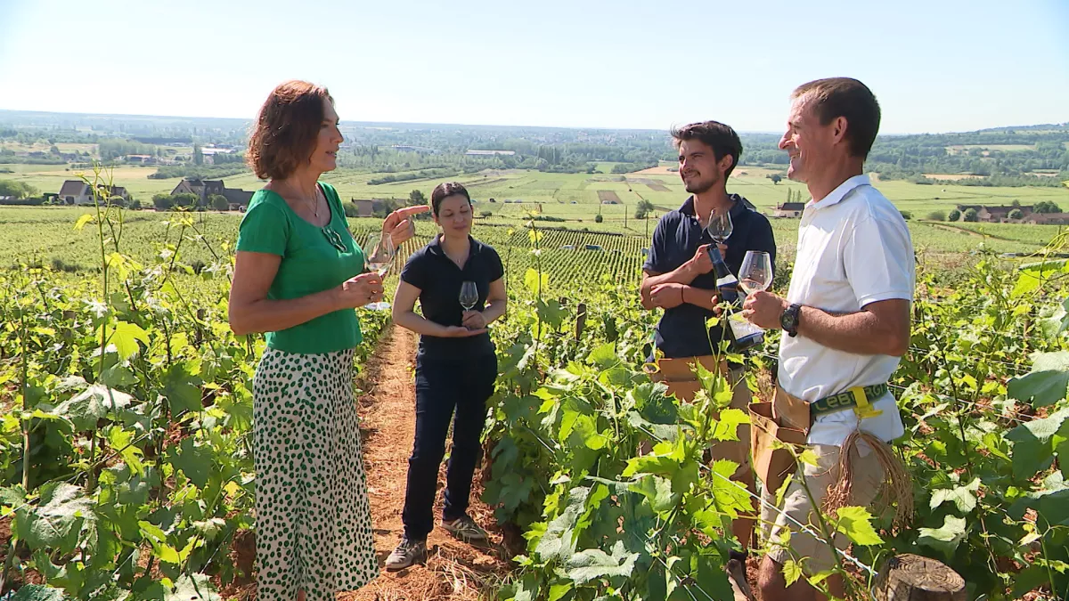 Ca roule en cuisine à Chassagne-Montrachet Ca roule en cuisine à Chassagne-Montrachet