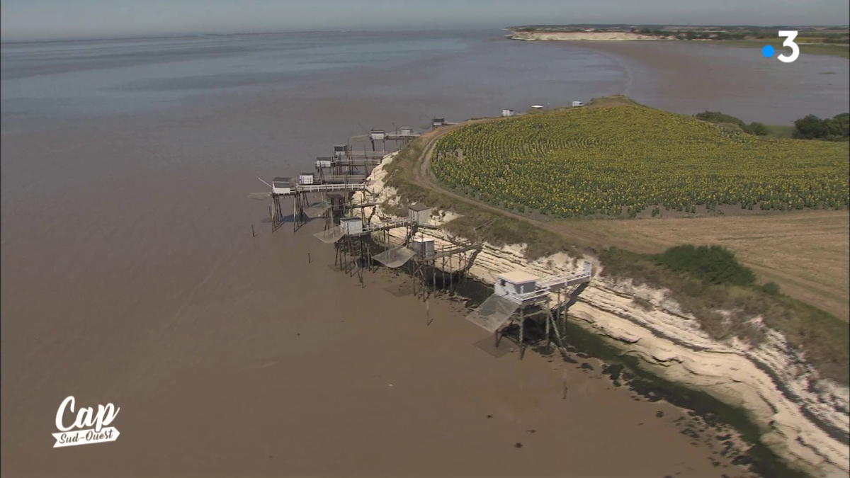 Cap Sud Ouest Charente-Maritime CSO 174