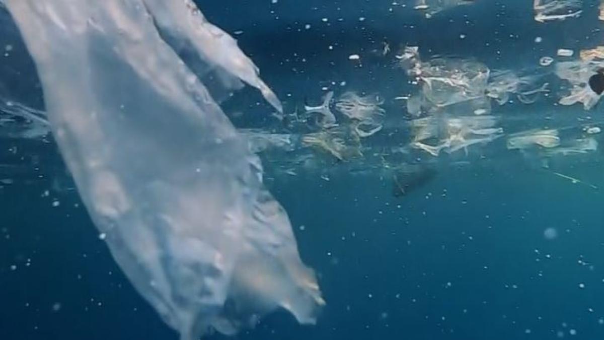 "L'île de plastique", un documentaire inédit de Stéphane Granzotto sur l'importance et les conséquences des déchets plastiques en Méditerranée