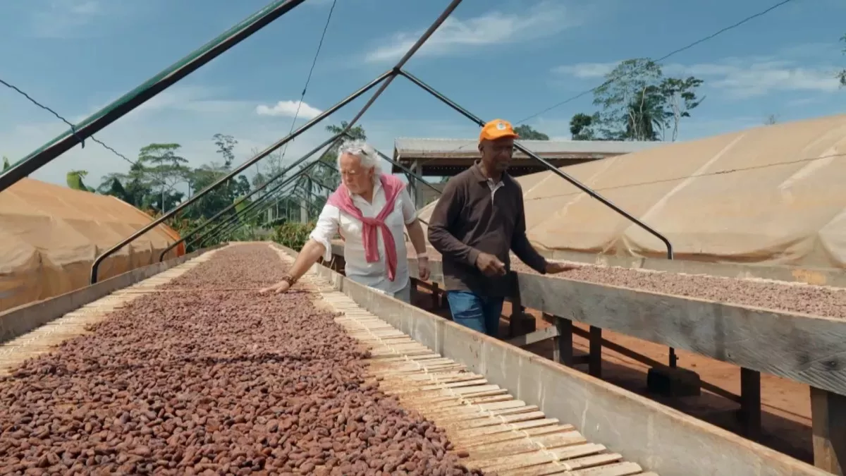 Cacao et Chocolat