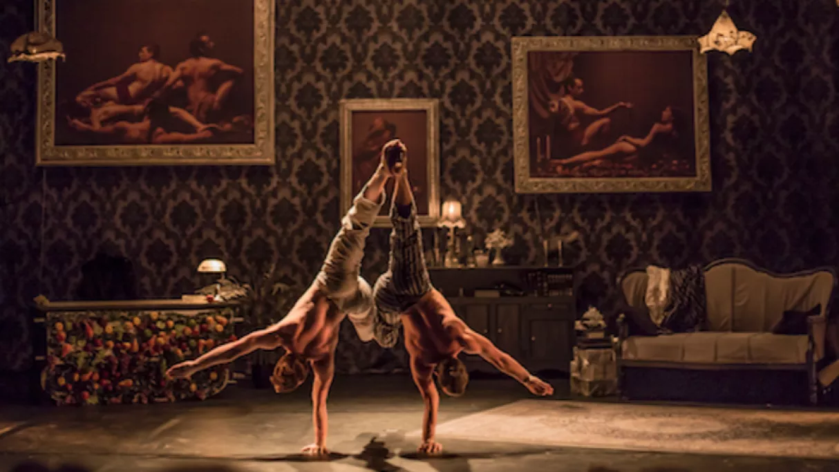 the-elephant-in-the-room