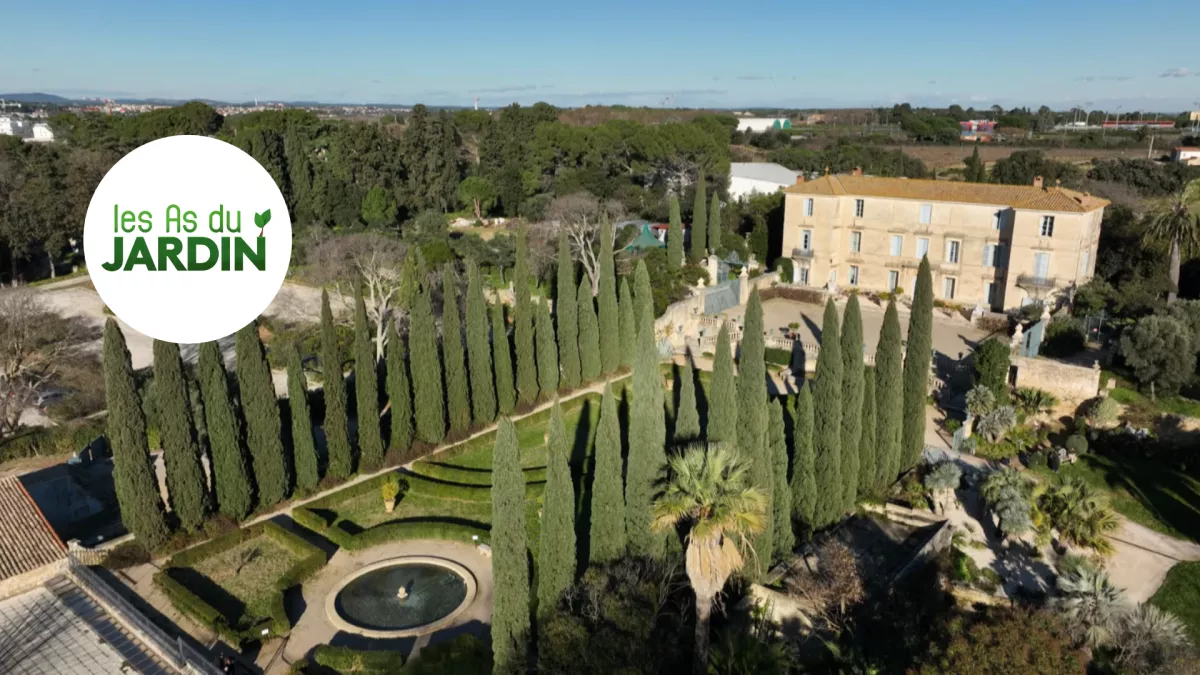 Les As du Jardin
