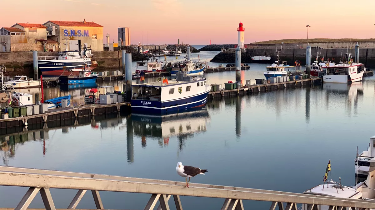 port de la Cotinière DEP Grande Région du 14 avril