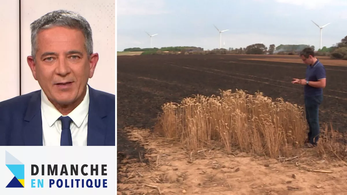 DEP réchauffement climatique