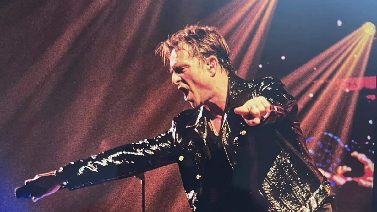 David Hallyday - Requiem pour un fou