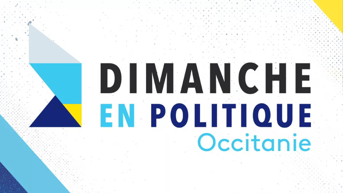 logo Dimanche en politique