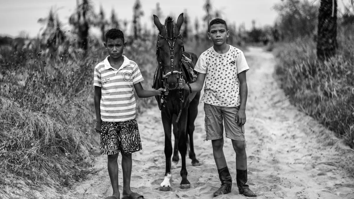 Vai Cavalo