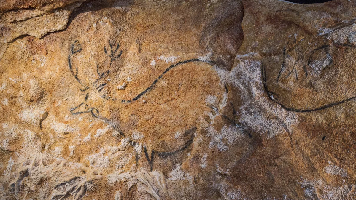 Grand cerf, reproduit dans les ateliers de Gilles Tosello - Photo : Jean-Claude Flaccomio / WeGo productions © Kléber Rossillon & Région Sud Provence-Alpes-Côte d’Azur/Sources 3D MC-CNP Réplique de la grotte Cosquer - Programmation spéciale
