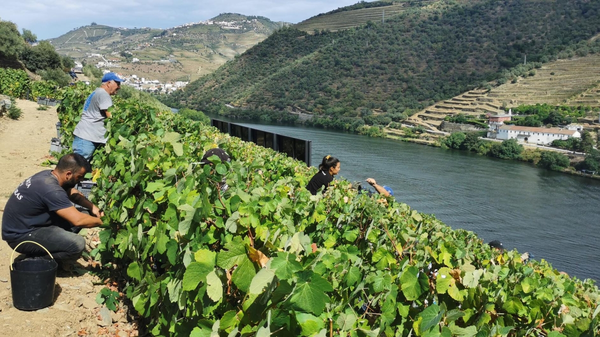 Au cœur de la Beira Alta, région frontalière de l'Espagne située au nord-est du Portugal, se cachent douze villages, les "Aldeias históricas". Sophie Jovillard part à la découverte de ces bourgades, œuvre de plusieurs générations de rois qui, préoccupés par la défense du territoire, se sont chargés de peupler et de fortifier la région.