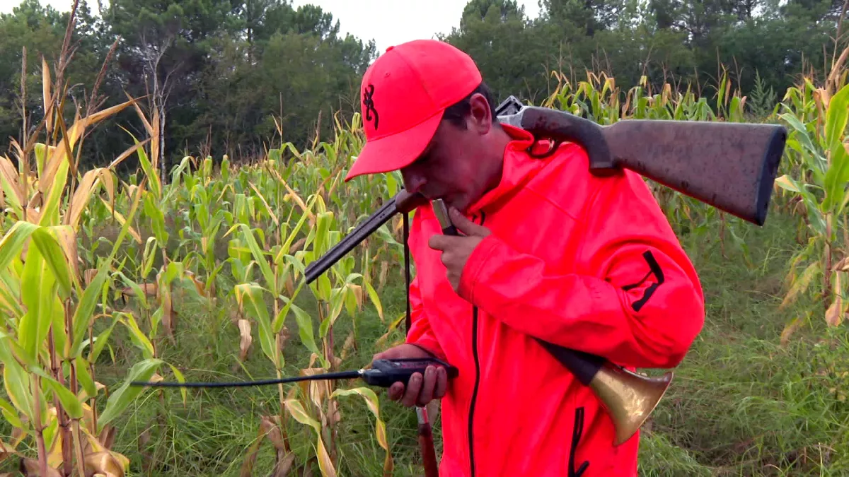 Enquêtes de région Chasse C