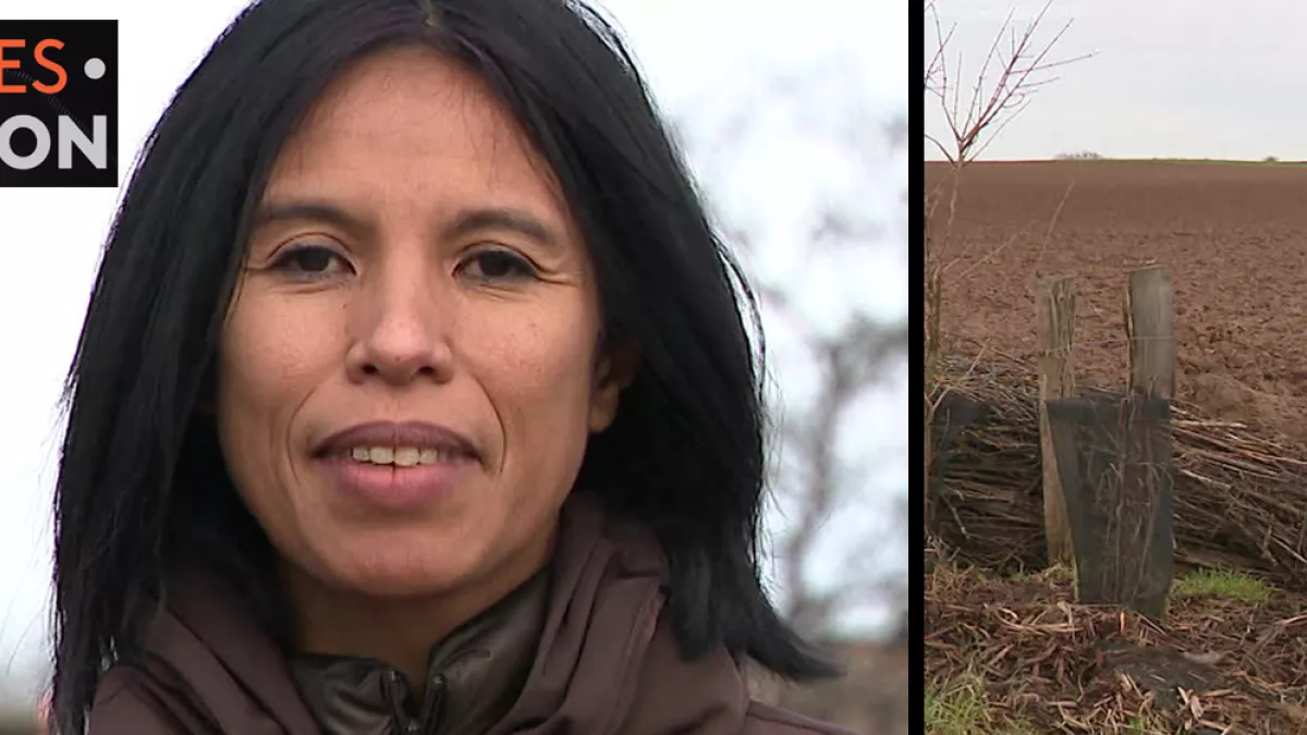Enquêtes de région - terres inondables - crédit FTV Enquêtes de région - terres inondables - crédit FTV