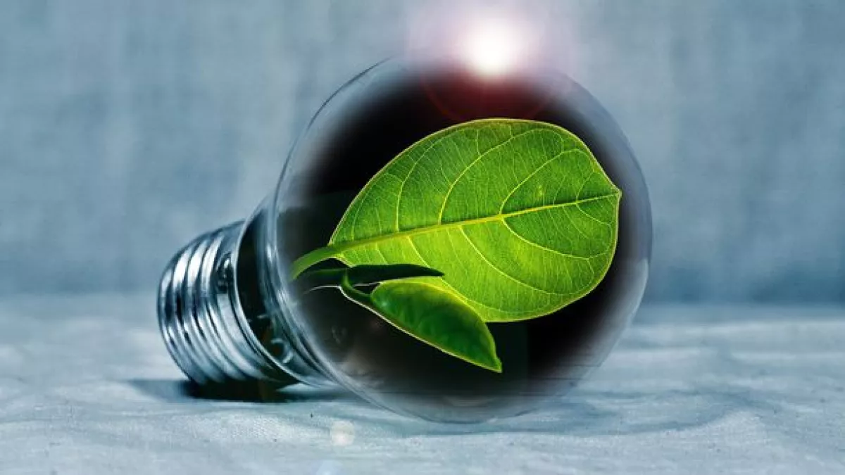 Energie verte Energie verte