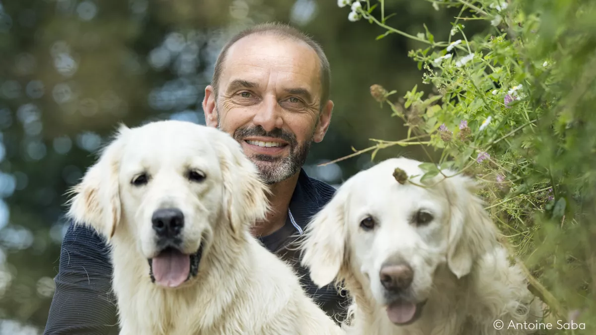 En terre animale saison 4 En terre animale saison 4