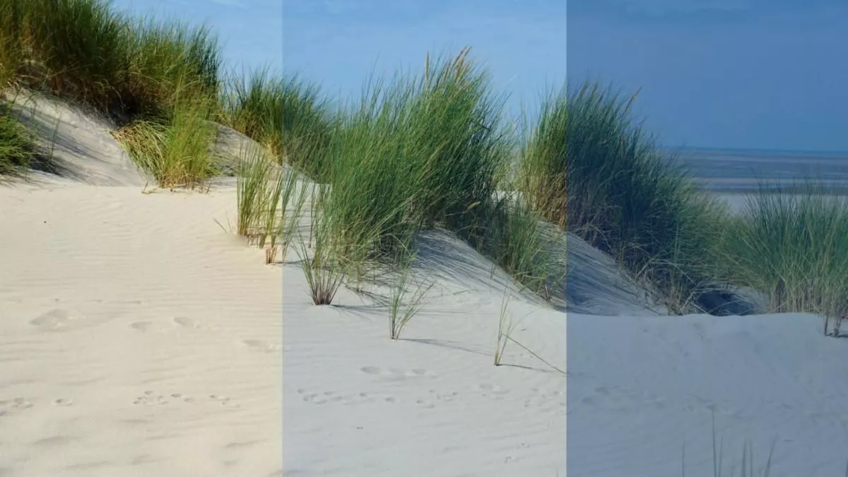 VISUEL ETE LITTORAL (c) FTV