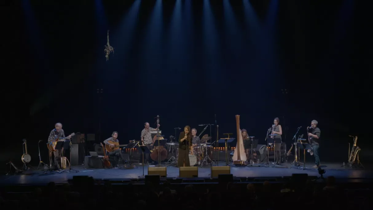 Un salut à Georges Brassens