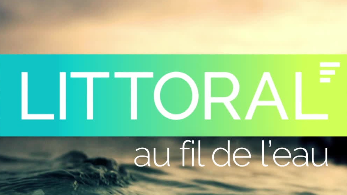 Littoral au fil de l'eau