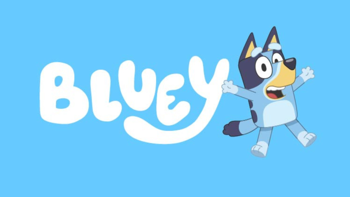 Jouer avec Bluey et Bingo  Bluey Français Chaîne Officielle 