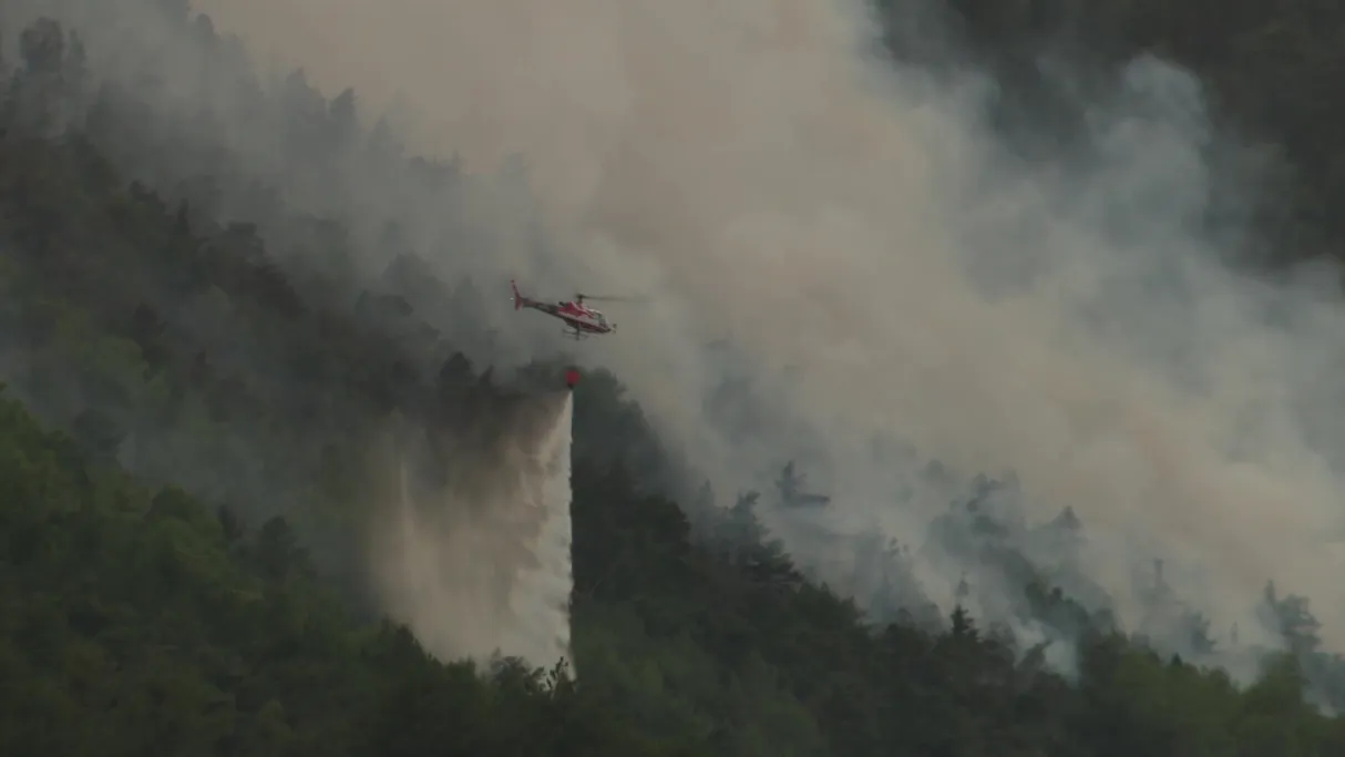 3 mags Sauvons nos forêts 15 sept