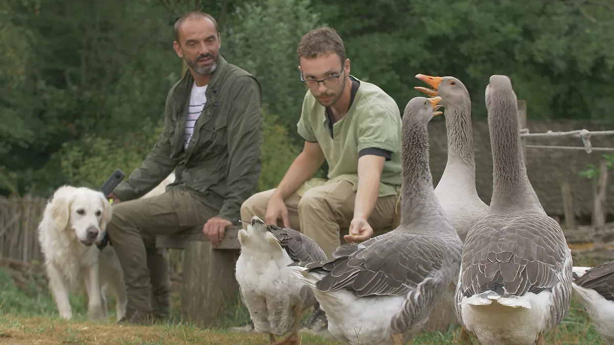 En terre animale à Guédelon En terre animale à Guédelon