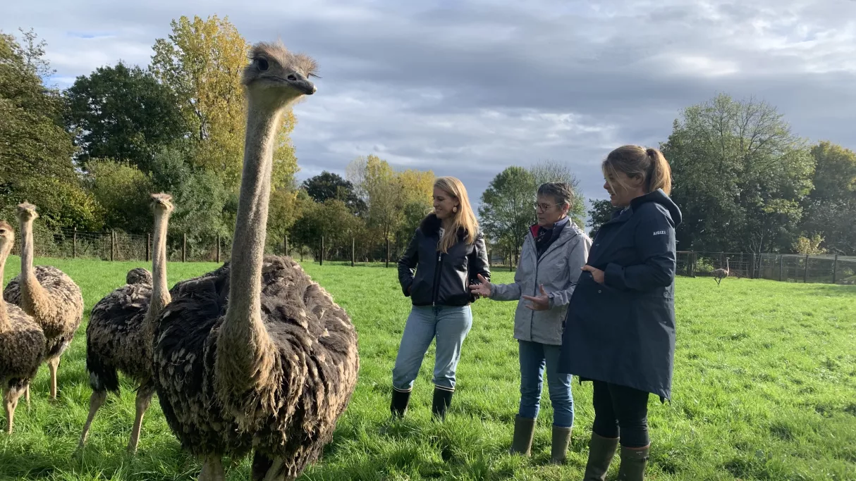 Envie dehors en Mayenne 