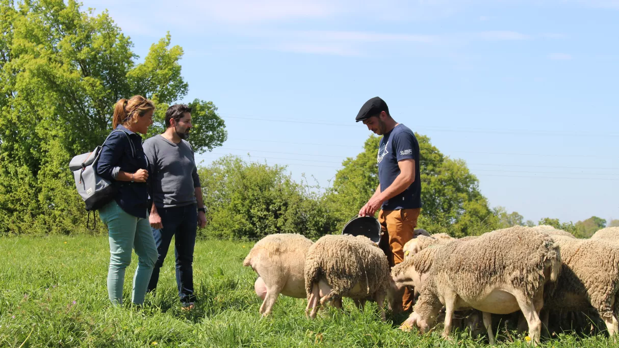 Envie dehors ! Escapade au pays de Loué ©Clémence Laroque