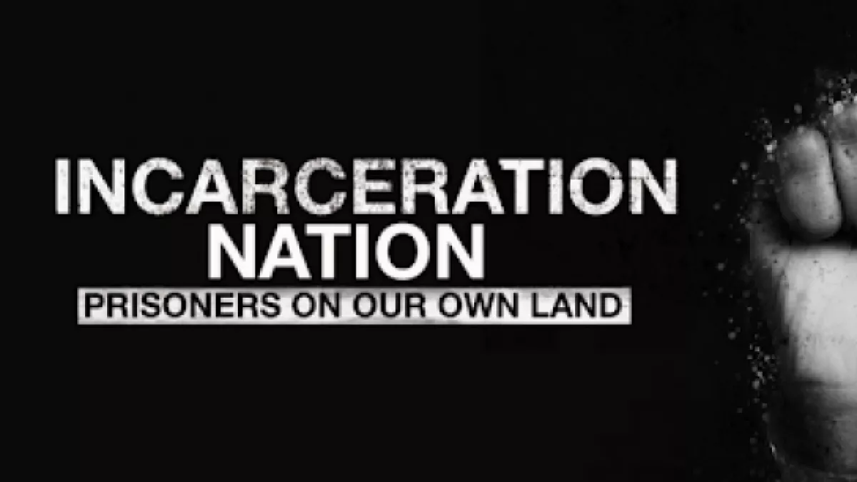 Incarceration-Nation.png