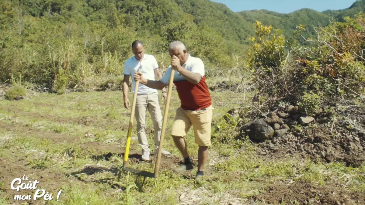 KALOU PILON SAISON 3 Episode 8 : Cette semaine Kalou Pilon nous emmène à la plaine des Grègues, la capitale du curcuma, le « safran péi » épice incontournable « le goût mon péi »